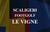 FootGolf Scaligeri Le Vigne